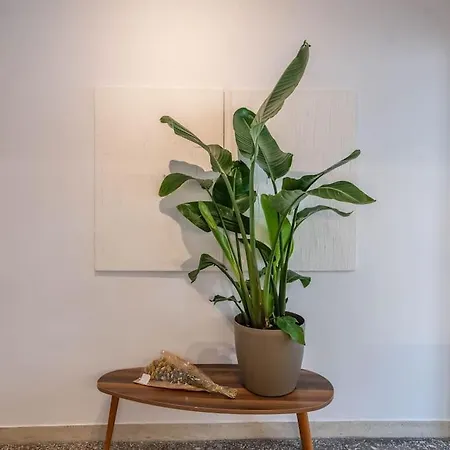 Appartement Botanical à Athènes Extérieur photo