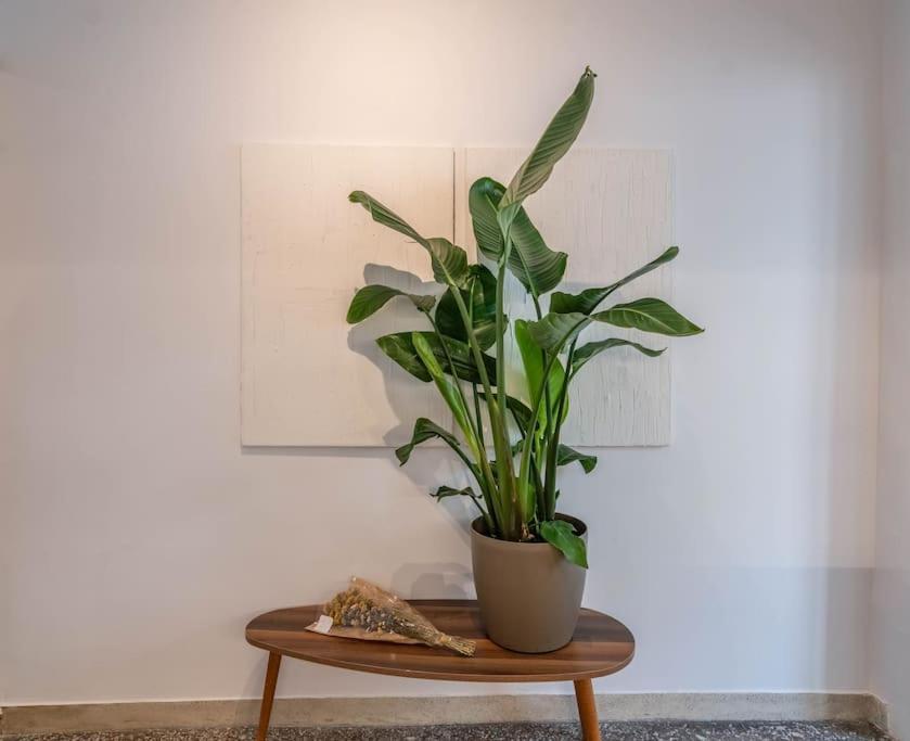 Botanical